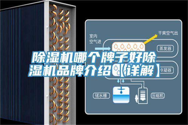 榴莲视频官网APP哪個牌子好榴莲视频官网APP品牌介紹【詳解】
