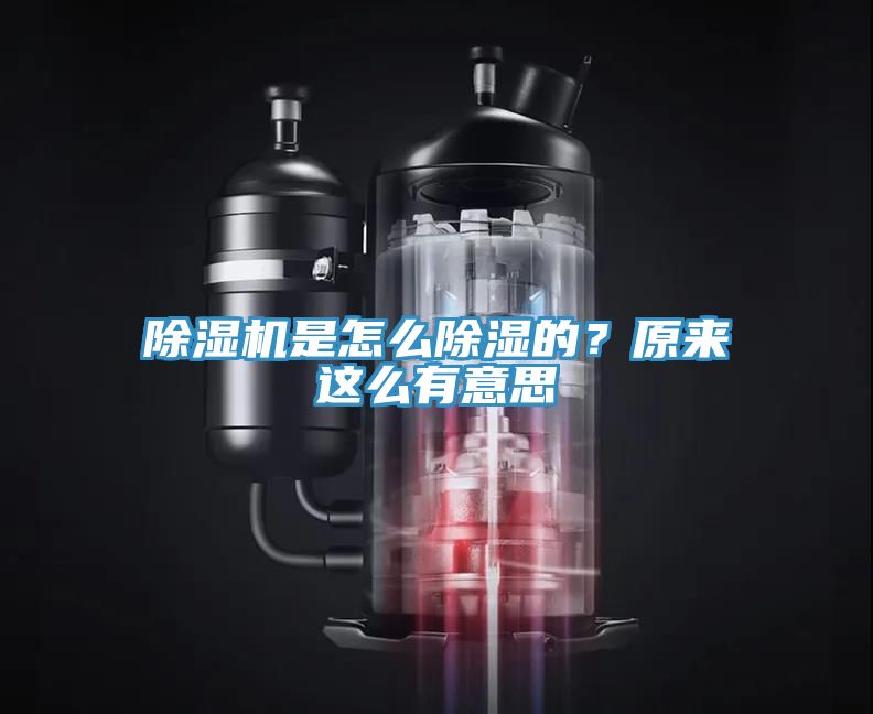 榴莲视频官网APP是怎麽除濕的？原來這麽有意思