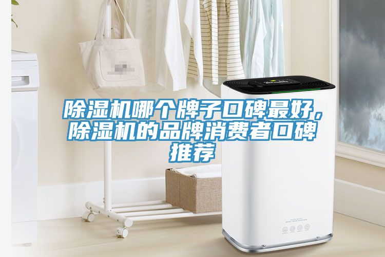 榴莲视频官网APP哪個牌子口碑最好，榴莲视频官网APP的品牌消費者口碑推薦