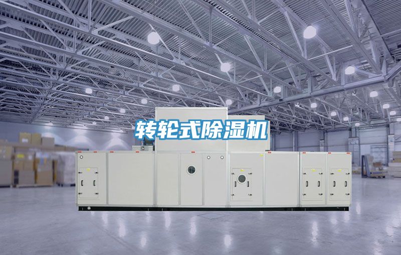 轉輪式榴莲视频官网APP