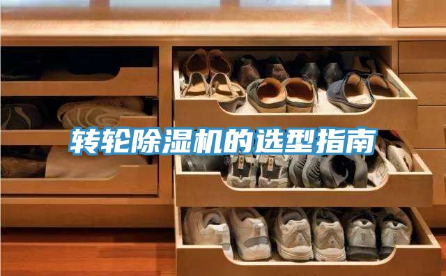 轉輪榴莲视频官网APP的選型指南