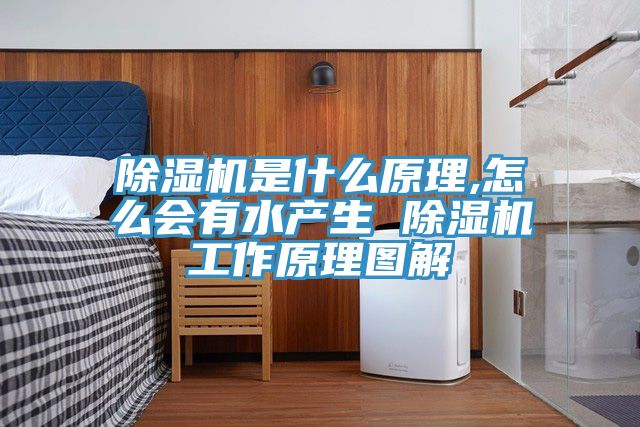 榴莲视频官网APP是什麽原理,怎麽會有水產生 榴莲视频官网APP工作原理圖解