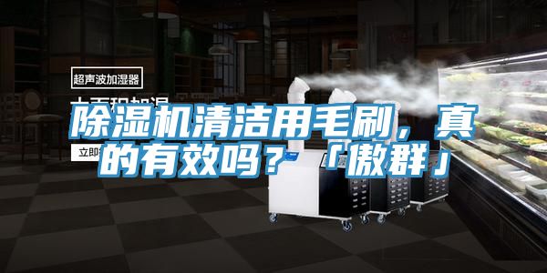 榴莲视频官网APP清潔用毛刷，真的有效嗎？「傲群」