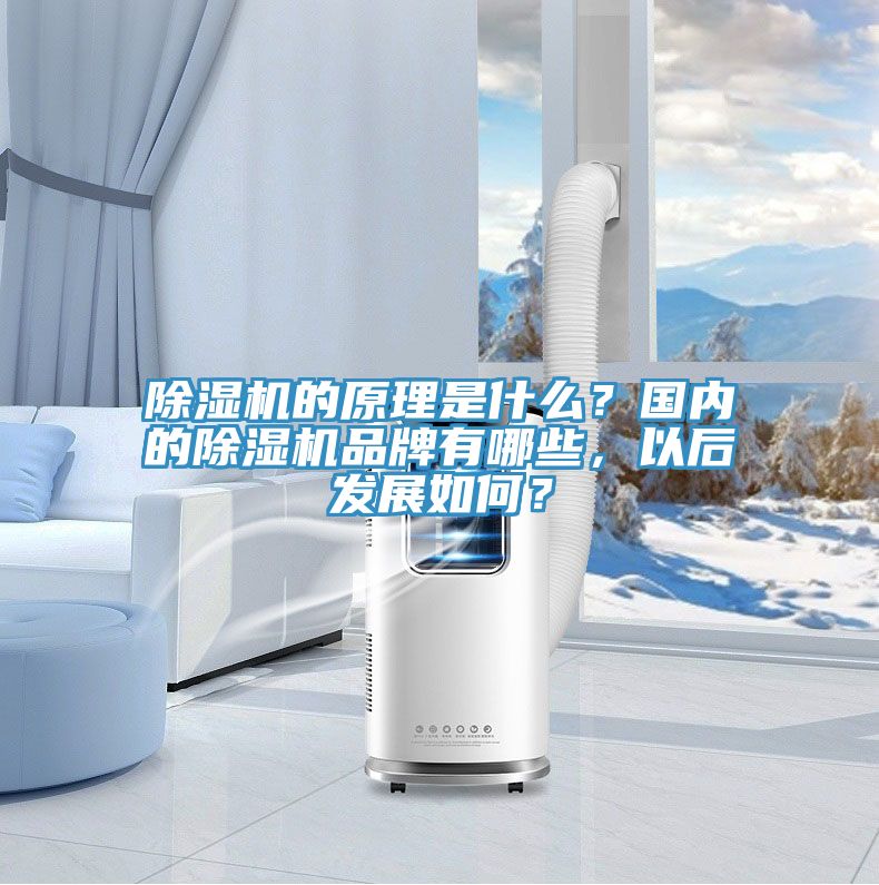 榴莲视频官网APP的原理是什麽？國內的榴莲视频官网APP品牌有哪些，以後發展如何？