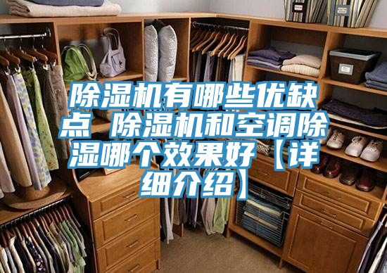 榴莲视频官网APP有哪些優缺點 榴莲视频官网APP和空調除濕哪個效果好【詳細介紹】