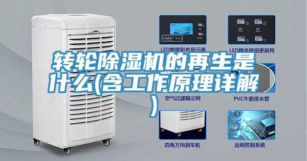 轉輪榴莲视频官网APP的再生是什麽(含工作原理詳解)