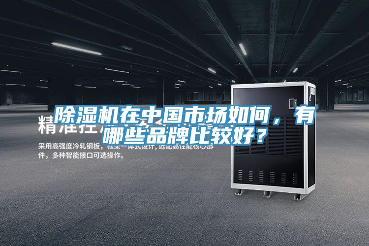 榴莲视频官网APP在中國市場如何，有哪些品牌比較好？