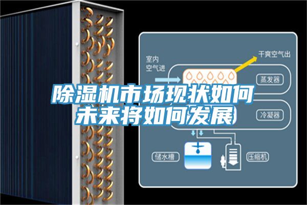 榴莲视频官网APP市場現狀如何未來將如何發展