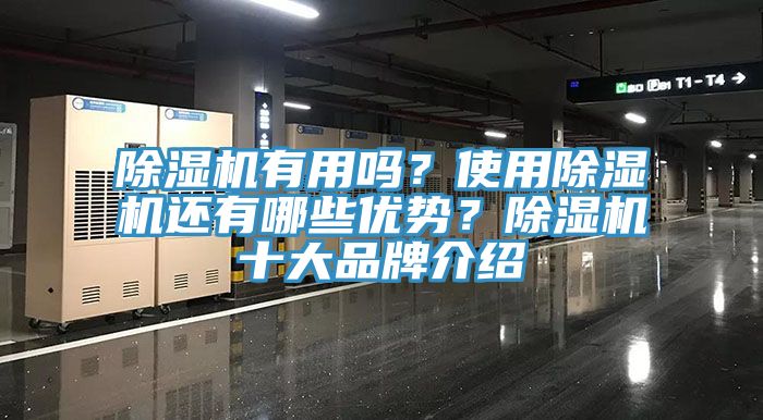 榴莲视频官网APP有用嗎？使用榴莲视频官网APP還有哪些優勢？榴莲视频官网APP十大品牌介紹