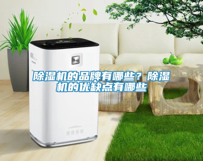 榴莲视频官网APP的品牌有哪些？榴莲视频官网APP的優缺點有哪些