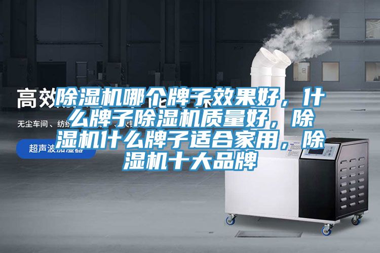 榴莲视频官网APP哪個牌子效果好，什麽牌子榴莲视频官网APP質量好，榴莲视频官网APP什麽牌子適合家用，榴莲视频官网APP十大品牌