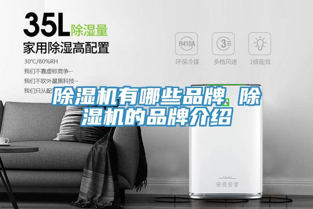 榴莲视频官网APP有哪些品牌 榴莲视频官网APP的品牌介紹