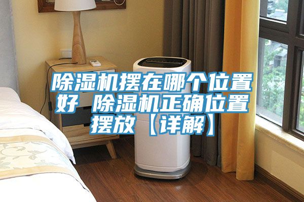 榴莲视频官网APP擺在哪個位置好 榴莲视频官网APP正確位置擺放【詳解】