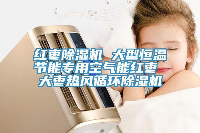 紅棗榴莲视频官网APP 大型恒溫節能專用空氣能紅棗 大棗熱風循環榴莲视频官网APP