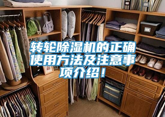 轉輪榴莲视频官网APP的正確使用方法及注意事項介紹！