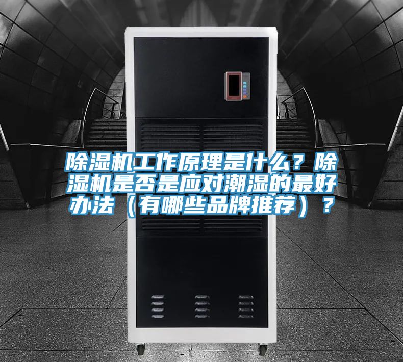 榴莲视频官网APP工作原理是什麽？榴莲视频官网APP是否是應對潮濕的最好辦法（有哪些品牌推薦）？