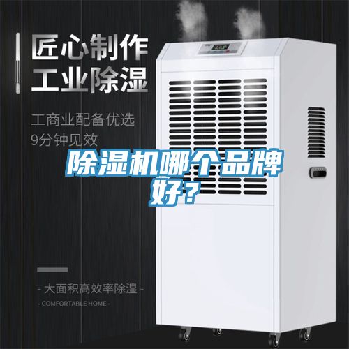 榴莲视频官网APP哪個品牌好？
