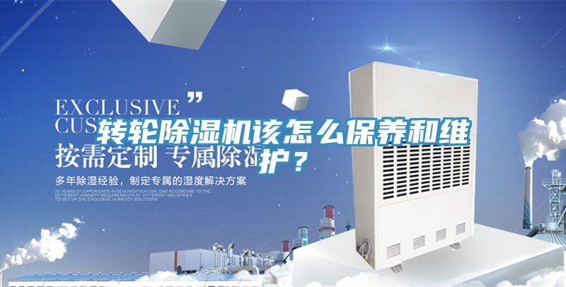 轉輪榴莲视频官网APP該怎麽保養和維護？