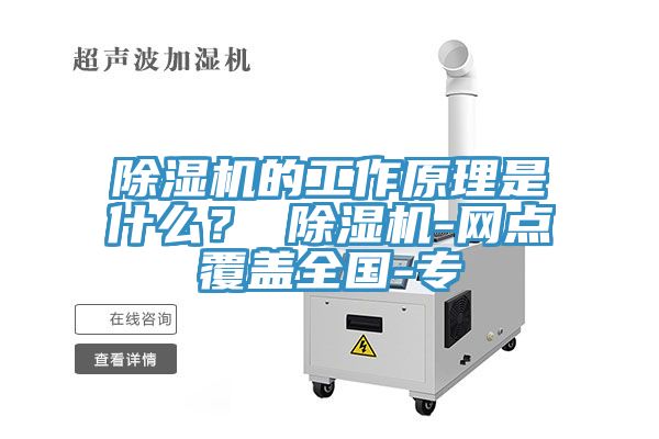 榴莲视频官网APP的工作原理是什麽？ 榴莲视频官网APP-網點覆蓋全國-專
