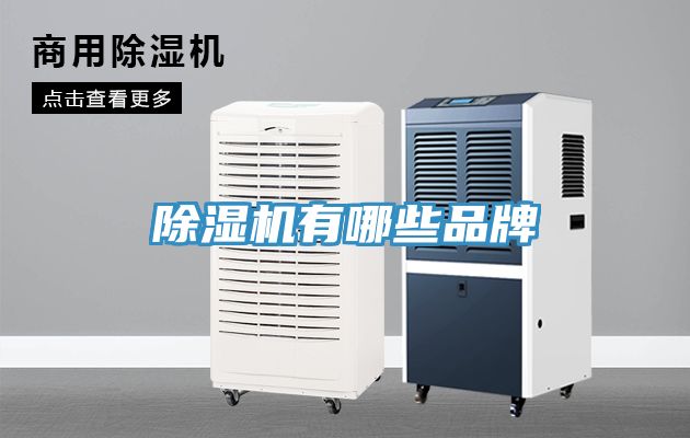榴莲视频官网APP有哪些品牌