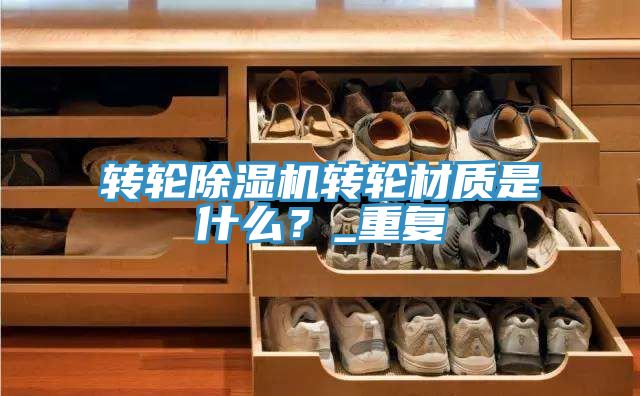 轉輪榴莲视频官网APP轉輪材質是什麽？_重複