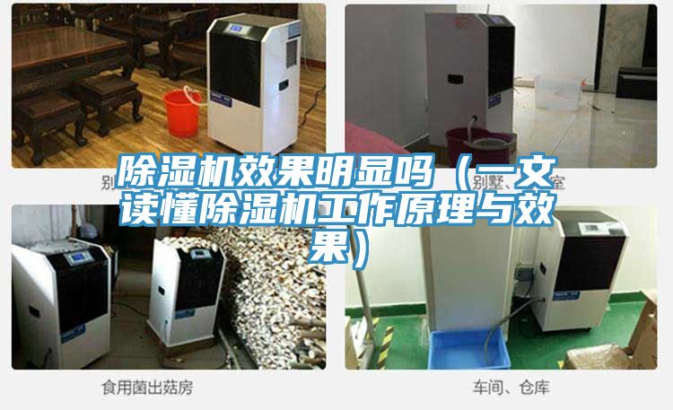 榴莲视频官网APP效果明顯嗎（一文讀懂榴莲视频官网APP工作原理與效果）
