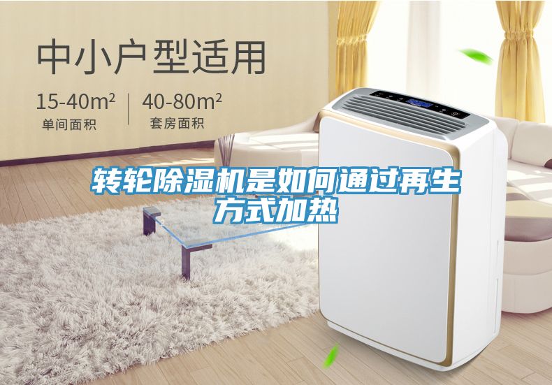 轉輪榴莲视频官网APP是如何通過再生方式加熱
