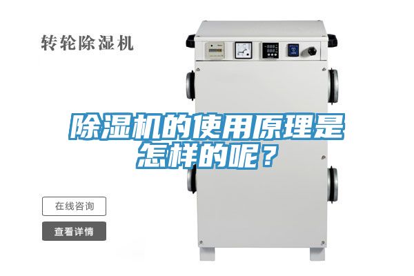 榴莲视频官网APP的使用原理是怎樣的呢？