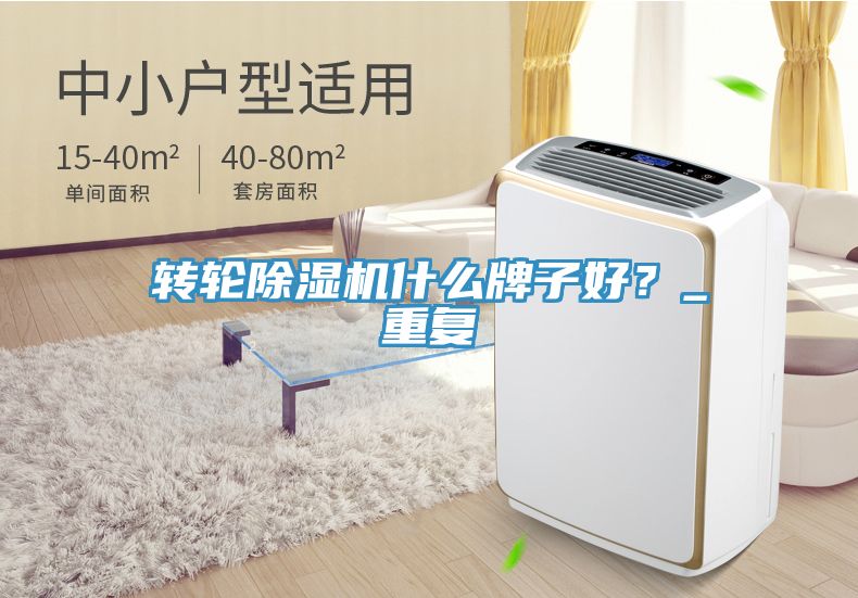 轉輪榴莲视频官网APP什麽牌子好？_重複