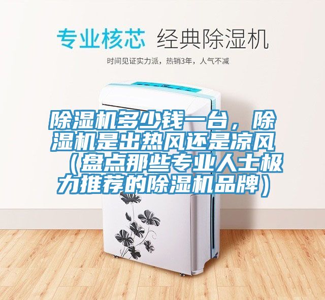 榴莲视频官网APP多少錢一台，榴莲视频官网APP是出熱風還是涼風（盤點那些專業人士極力推薦的榴莲视频官网APP品牌）