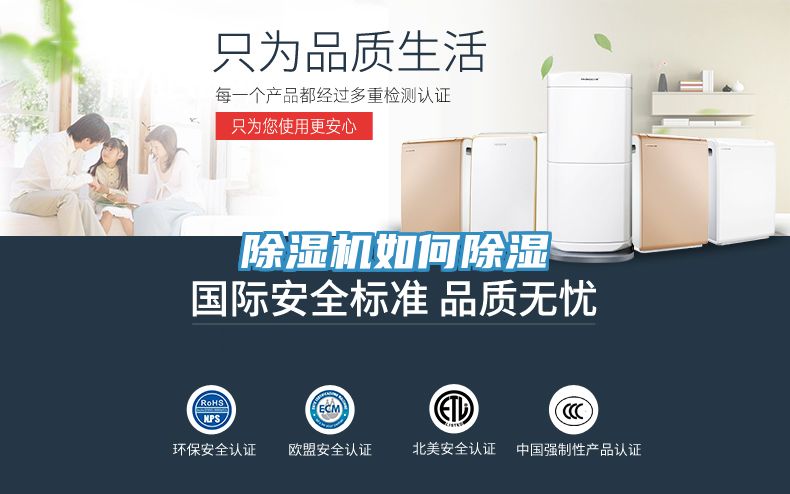 榴莲视频官网APP如何除濕