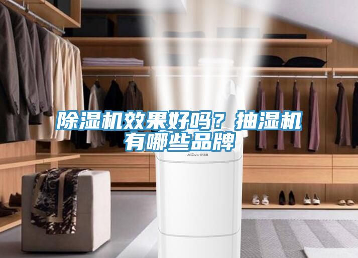 榴莲视频官网APP效果好嗎？抽濕機有哪些品牌