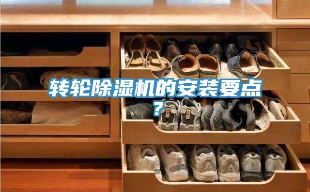 轉輪榴莲视频官网APP的安裝要點？