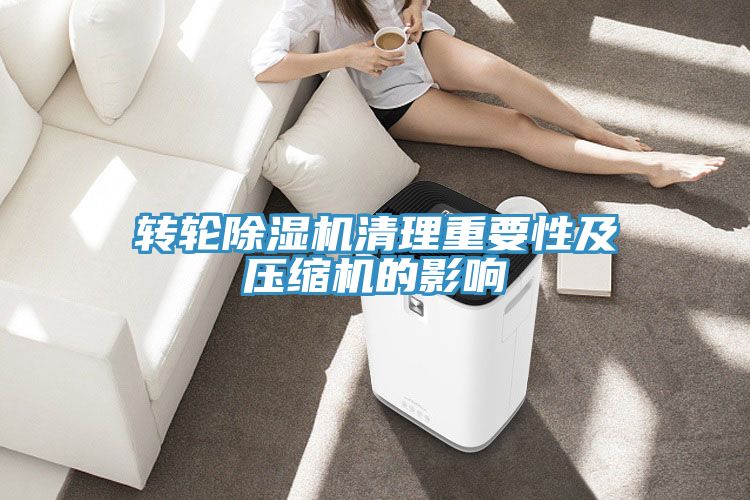 轉輪榴莲视频官网APP清理重要性及壓縮機的影響