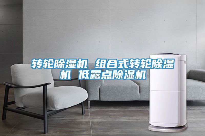 轉輪榴莲视频官网APP 組合式轉輪榴莲视频官网APP 低露點榴莲视频官网APP