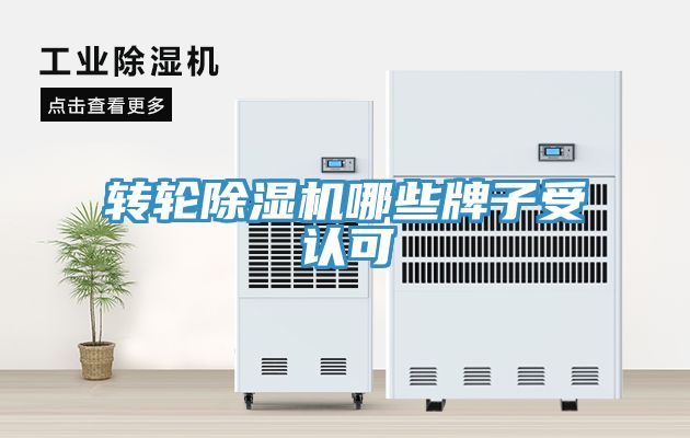 轉輪榴莲视频官网APP哪些牌子受認可