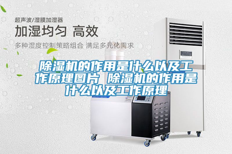 榴莲视频官网APP的作用是什麽以及工作原理圖片 榴莲视频官网APP的作用是什麽以及工作原理