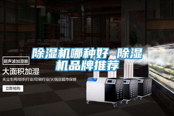 榴莲视频官网APP哪種好 榴莲视频官网APP品牌推薦