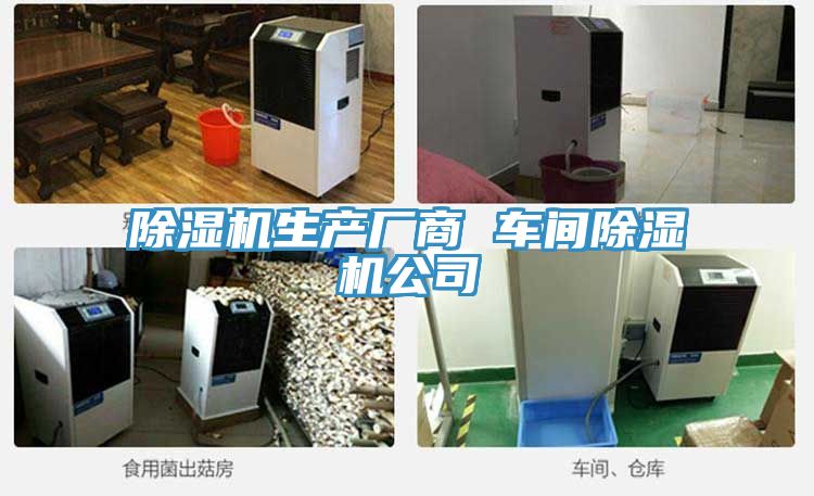 榴莲视频官网APP生產廠商 車間榴莲视频官网APP公司