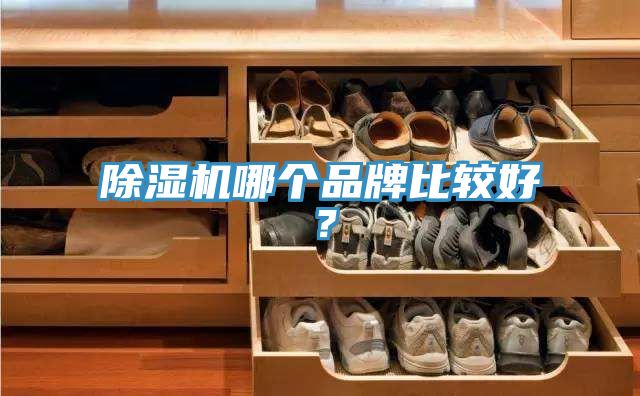 榴莲视频官网APP哪個品牌比較好？
