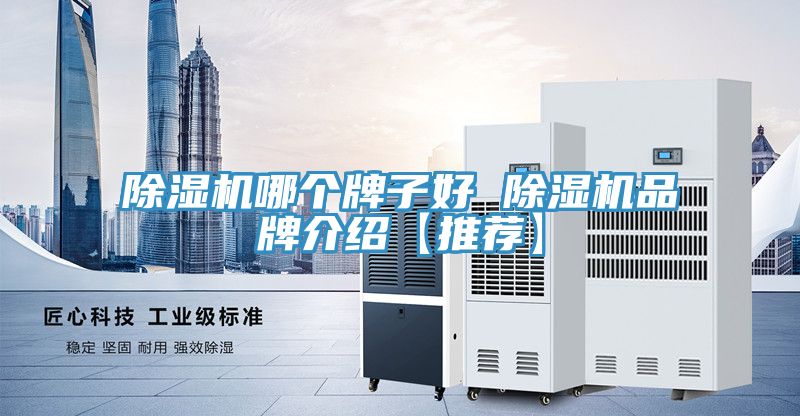 榴莲视频官网APP哪個牌子好 榴莲视频官网APP品牌介紹【推薦】