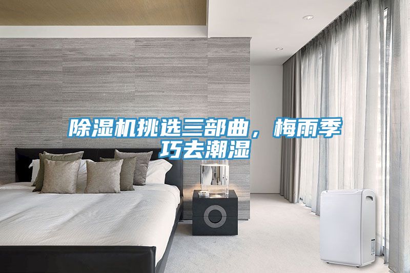 榴莲视频官网APP挑選三部曲，梅雨季巧去潮濕