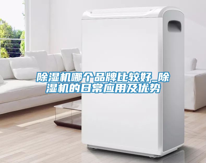 榴莲视频官网APP哪個品牌比較好_榴莲视频官网APP的日常應用及優勢