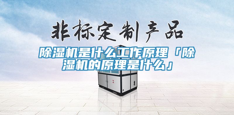 榴莲视频官网APP是什麽工作原理「榴莲视频官网APP的原理是什麽」
