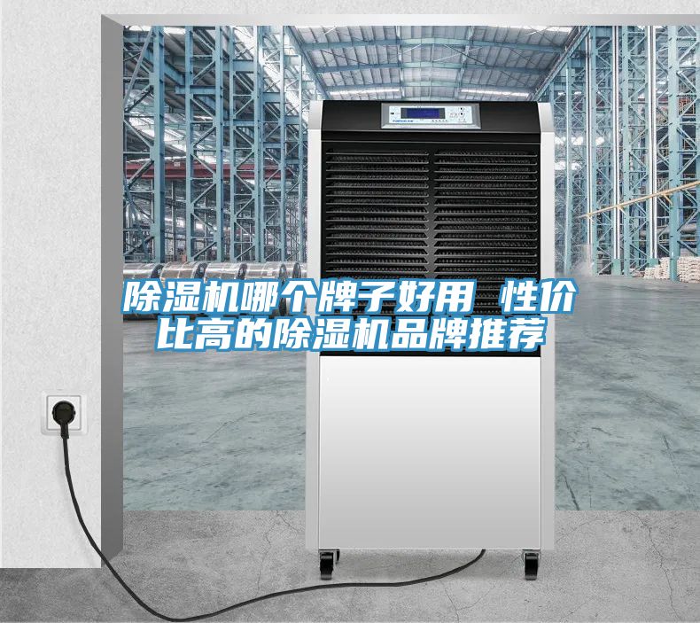 榴莲视频官网APP哪個牌子好用 性價比高的榴莲视频官网APP品牌推薦