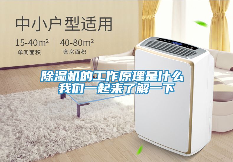榴莲视频官网APP的工作原理是什麽 榴莲网站在线观看一起來了解一下