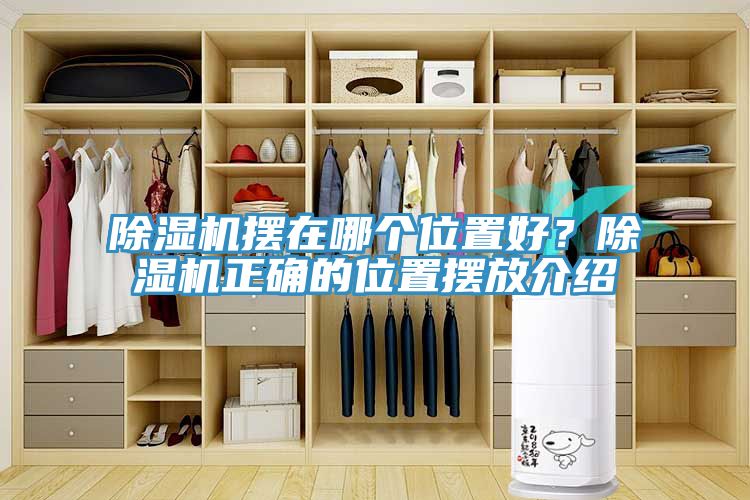 榴莲视频官网APP擺在哪個位置好？榴莲视频官网APP正確的位置擺放介紹
