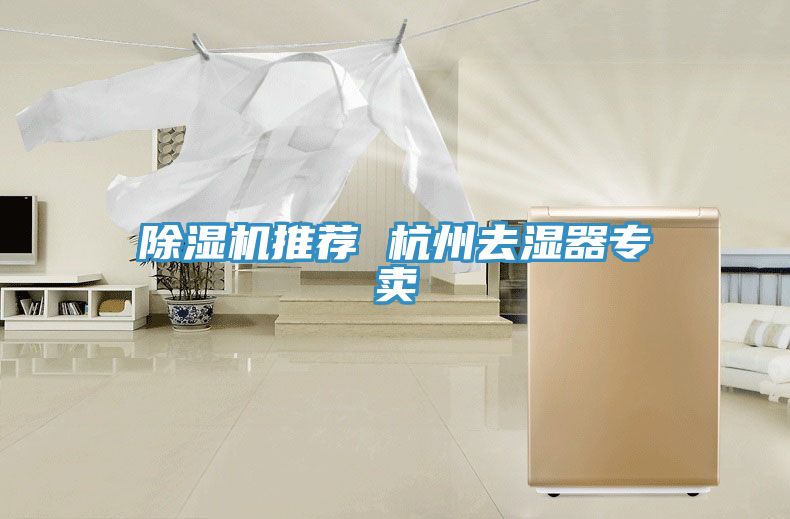 榴莲视频官网APP推薦 杭州去濕器專賣