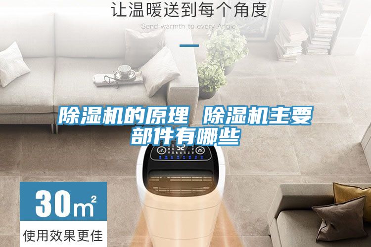 榴莲视频官网APP的原理 榴莲视频官网APP主要部件有哪些