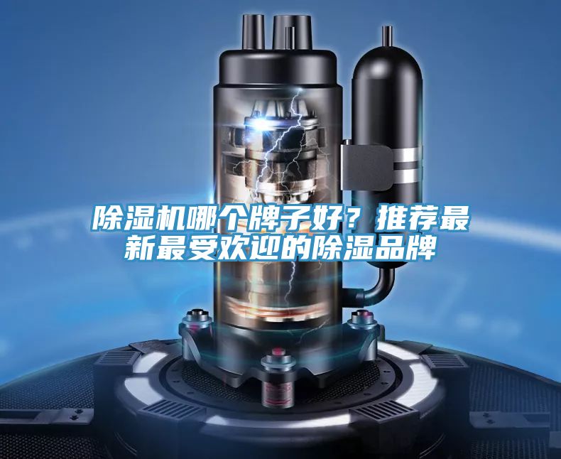 榴莲视频官网APP哪個牌子好？推薦最新最受歡迎的除濕品牌